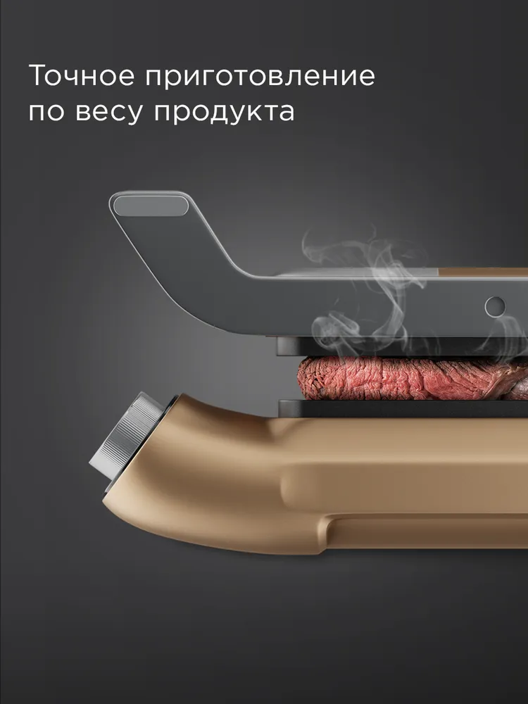 Гриль REDMOND SteakMaster GM303