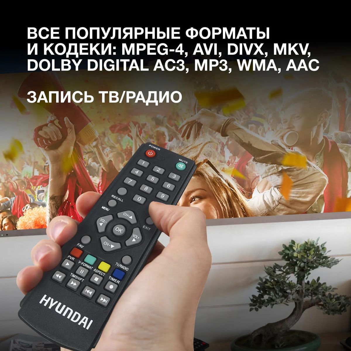 Цифровой TV ресивер HYUNDAI H-DVB460 черный